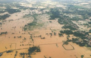 चार हजार हेक्टर धानबाली डुबानमा
