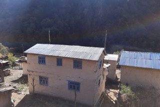 जडिबुटीले फेरिए छाना